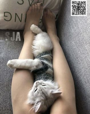 10万左右的国产房车_1080P免费在线观看