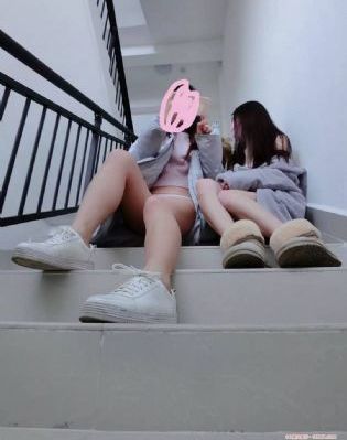 欧美飞禽走兽影院西瓜影音_BD国语在线观看电视