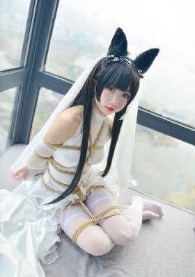 欧美成人剧情伦理视频_高清在线观看高清